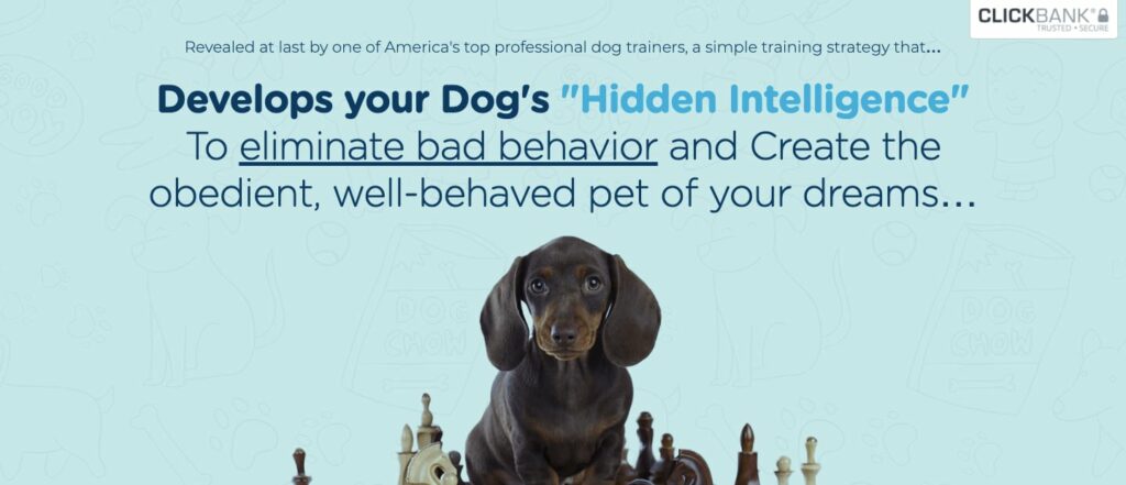 Brain Training For Dogs Homepage