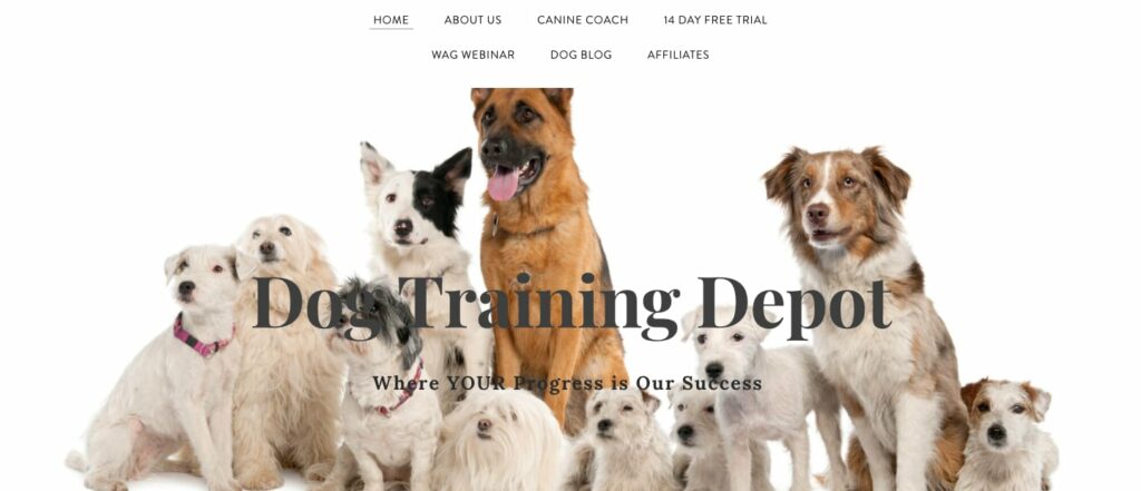 Dog Training Depot Homepage