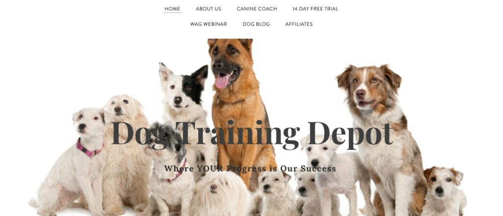 https://authorityhacker.com/wp-content/uploads/2021/09/dog-training-depot-homepage-1024x441.jpg