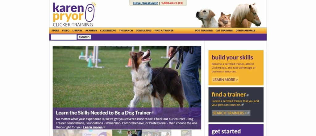 Brain Training for Dogs Affiliate Program Review + Commissions •